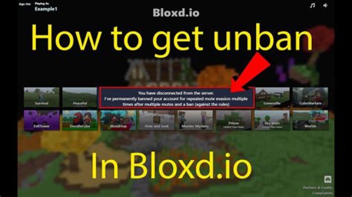 How do I get unbanned from Bloxburg?