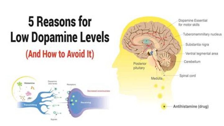 How do I know if I have low dopamine levels?