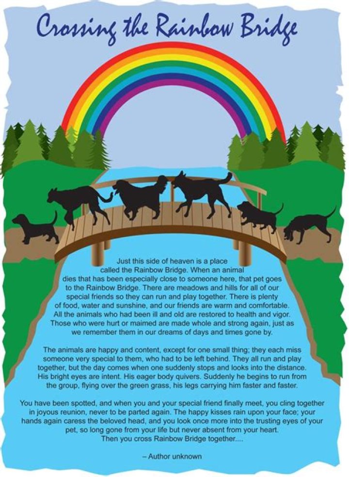 How do I know if my dog crossed the Rainbow Bridge?