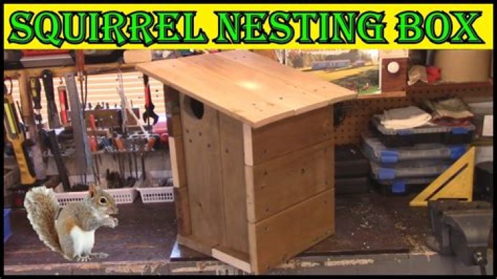 How do I make a squirrel nest box?
