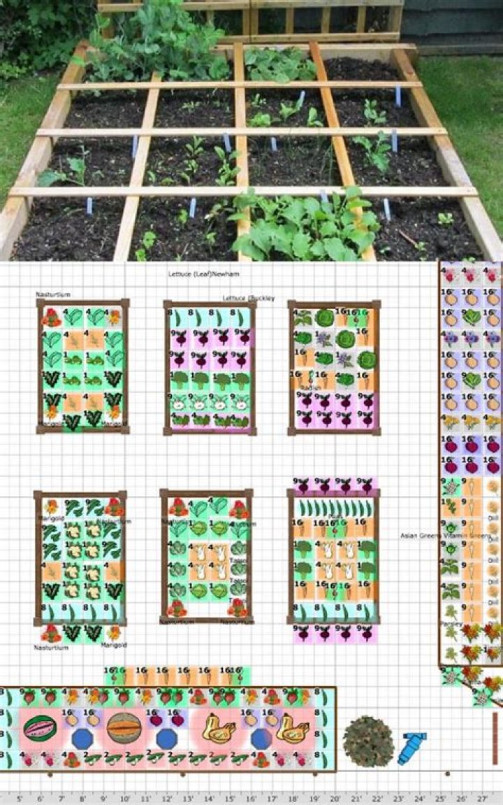 How do I organize my vegetable garden?