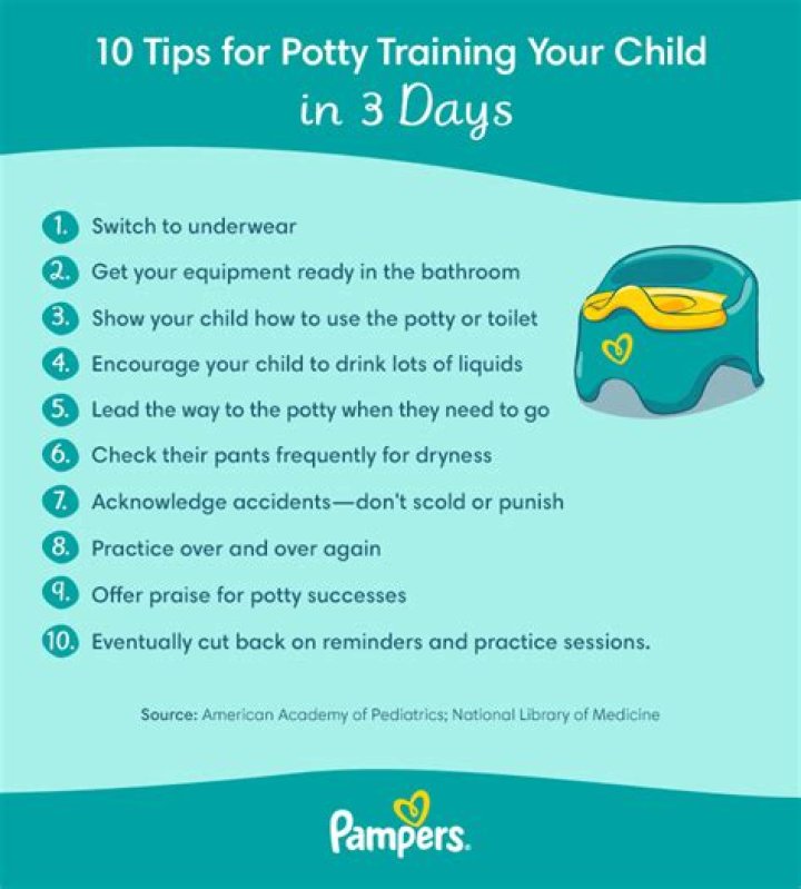 How do I potty train my toddler in 3 days?