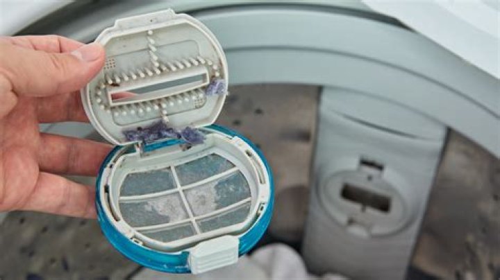 How do I remove the lint filter from my washing machine?