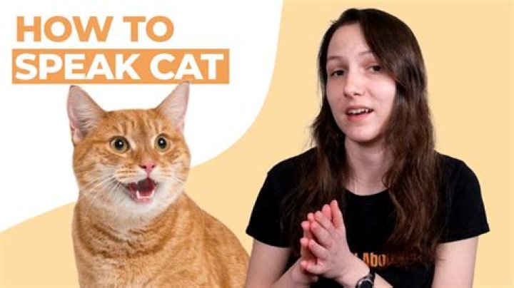 How do I talk to my boss about HR?