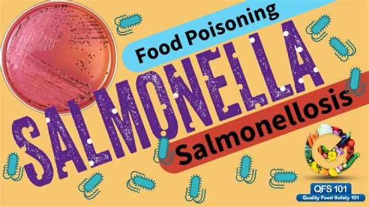 How do onions get salmonella?