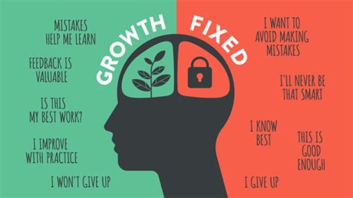 How do people with a growth mindset deal with failure?