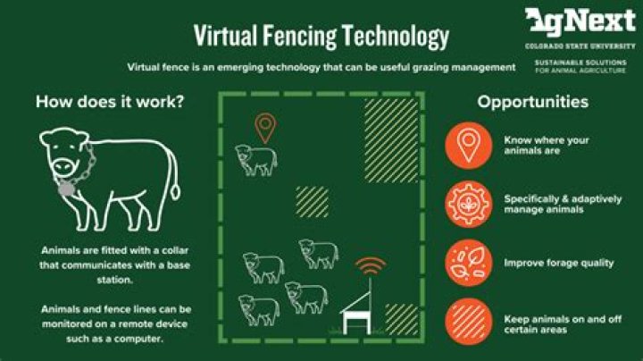How do virtual fences work?