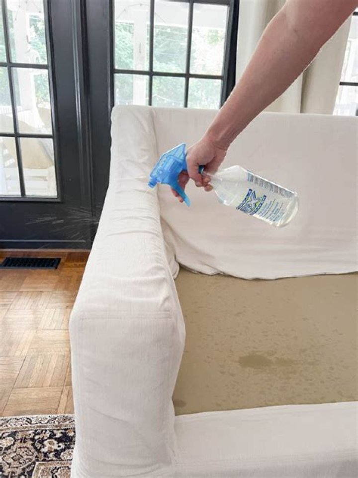 How do you clean a couch after mice?