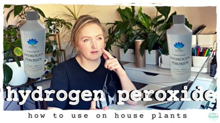How do you dilute hydrogen peroxide for plants?