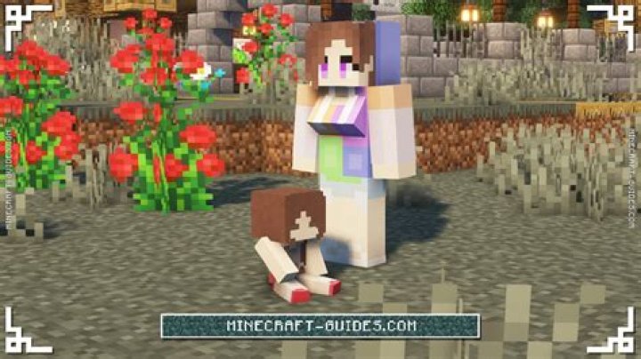 How do you divorce in Minecraft Comes Alive?