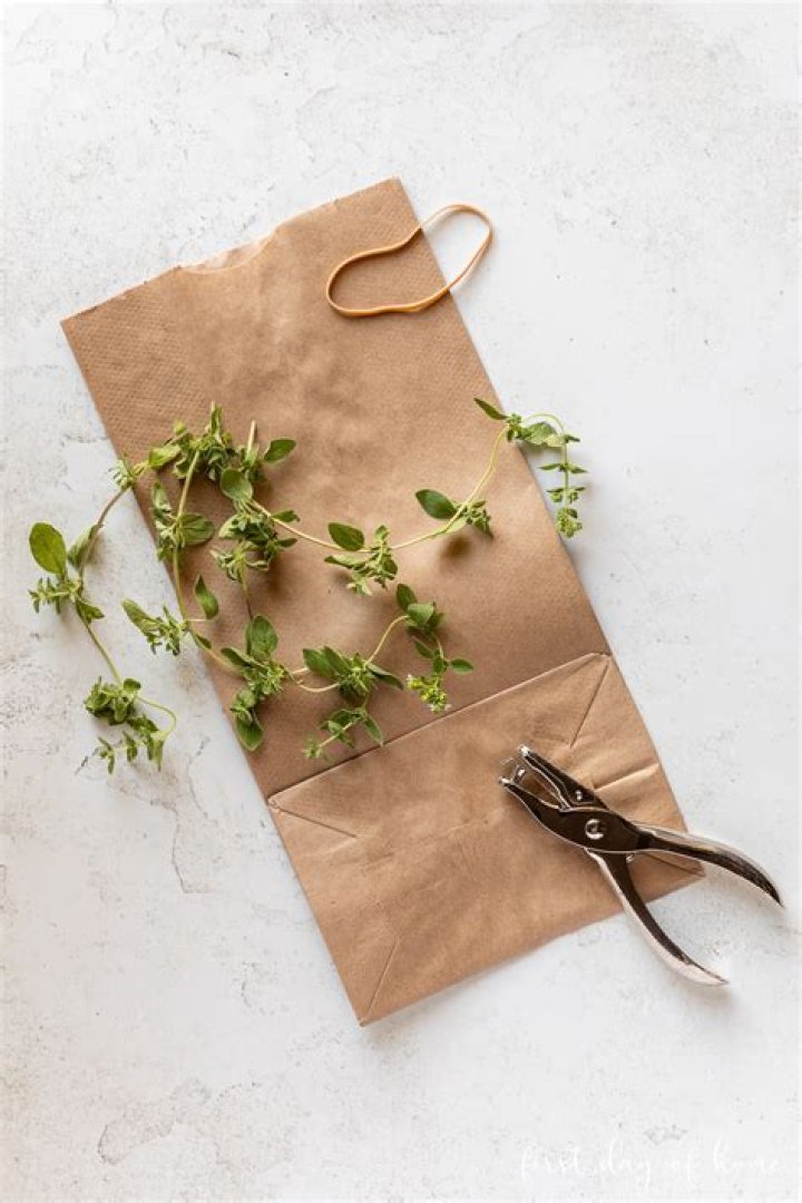 How do you dry fresh herbs in a paper bag?