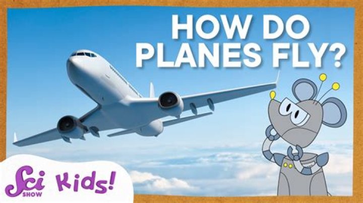How do you fly in the dinosaur game?