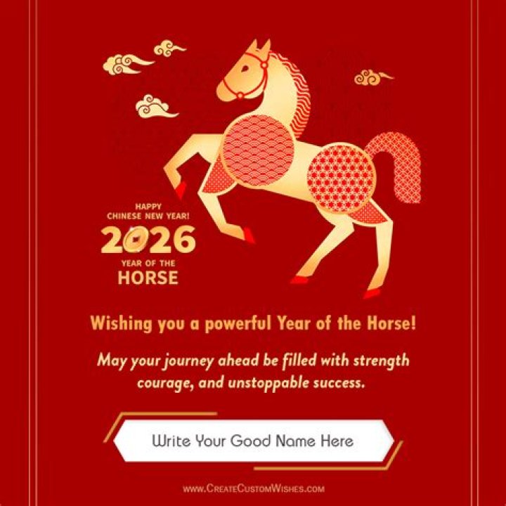 How do you get a horse to respect you?