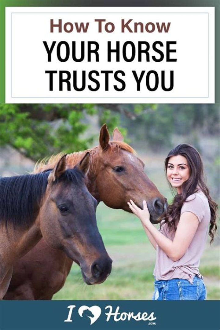 How do you know a horse trusts you?