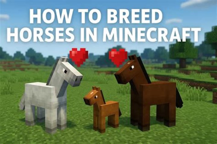 How do you make a zebra horse in Minecraft?
