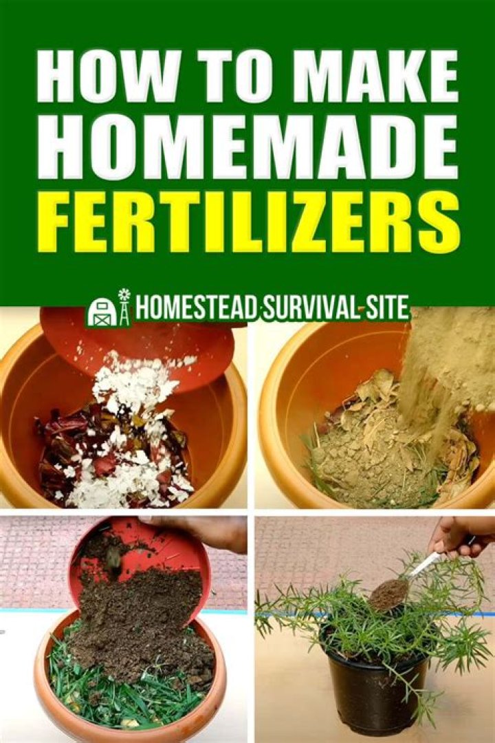 How do you make homemade fertilizer for plants?