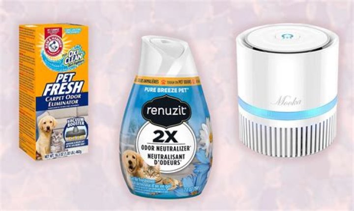 How do you make pet safe air fresheners?