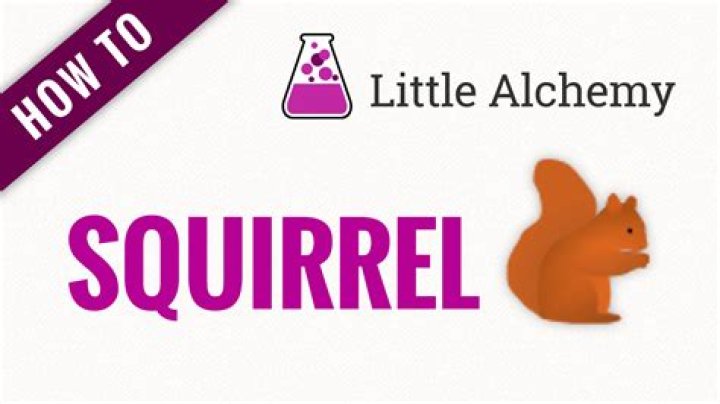 How do you make squirrel on little alchemy?