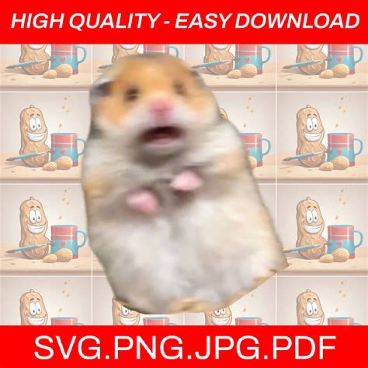 How do you pick up a scared hamster?