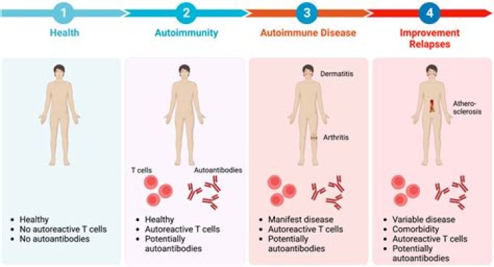 How do you prevent autoimmune disease?