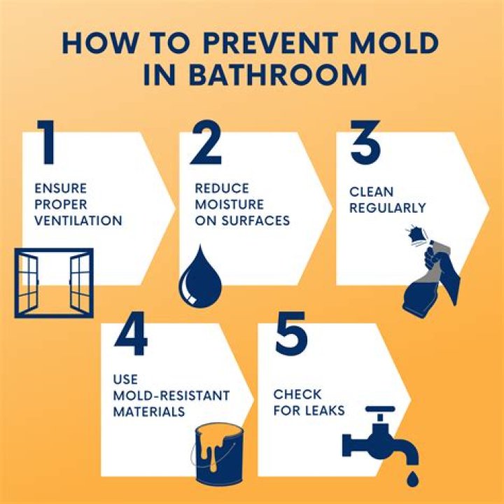 How do you prevent mold in a room?