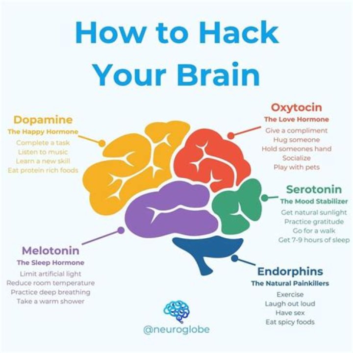 How do you reset dopamine in your brain?