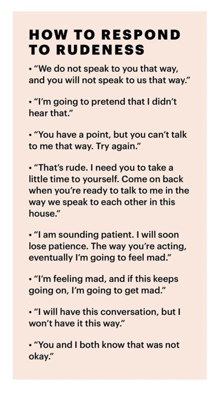 How do you respond to rudeness politely?