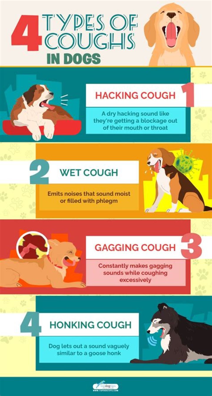 How do you stop my dog from waking me up at night to pee?