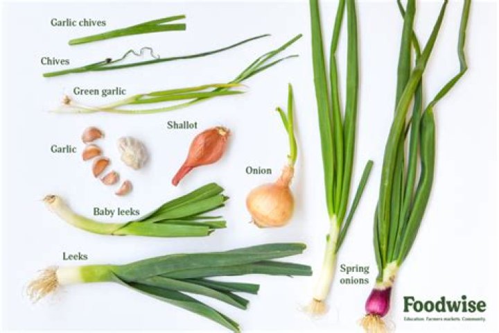 How do you store chives?