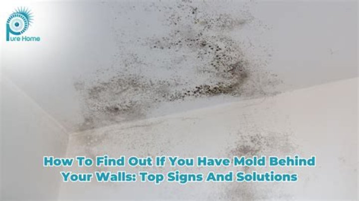 How do you tell if there's mold behind walls?
