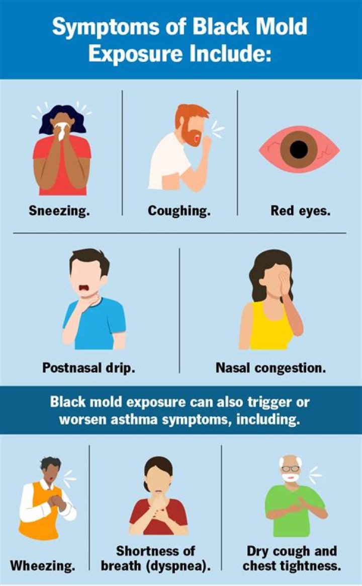 How do you tell if you have mold in your sinuses?