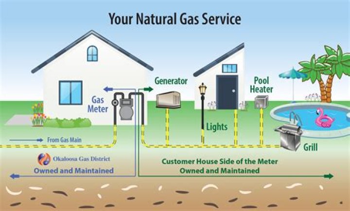 How do you tell if your house is too dry?