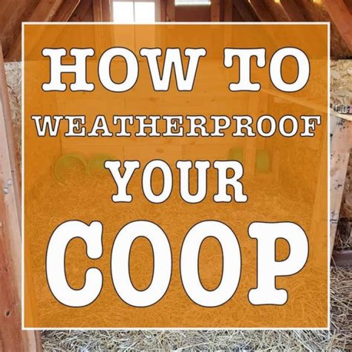 How do you weatherproof a coop?