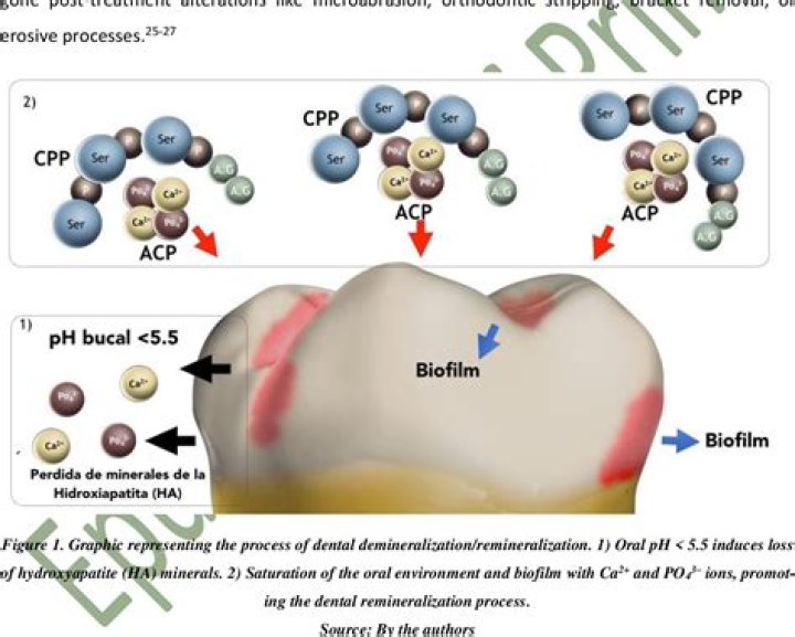 How does Biodentine bond to tooth?