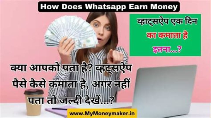 How does WhatsApp earn money?