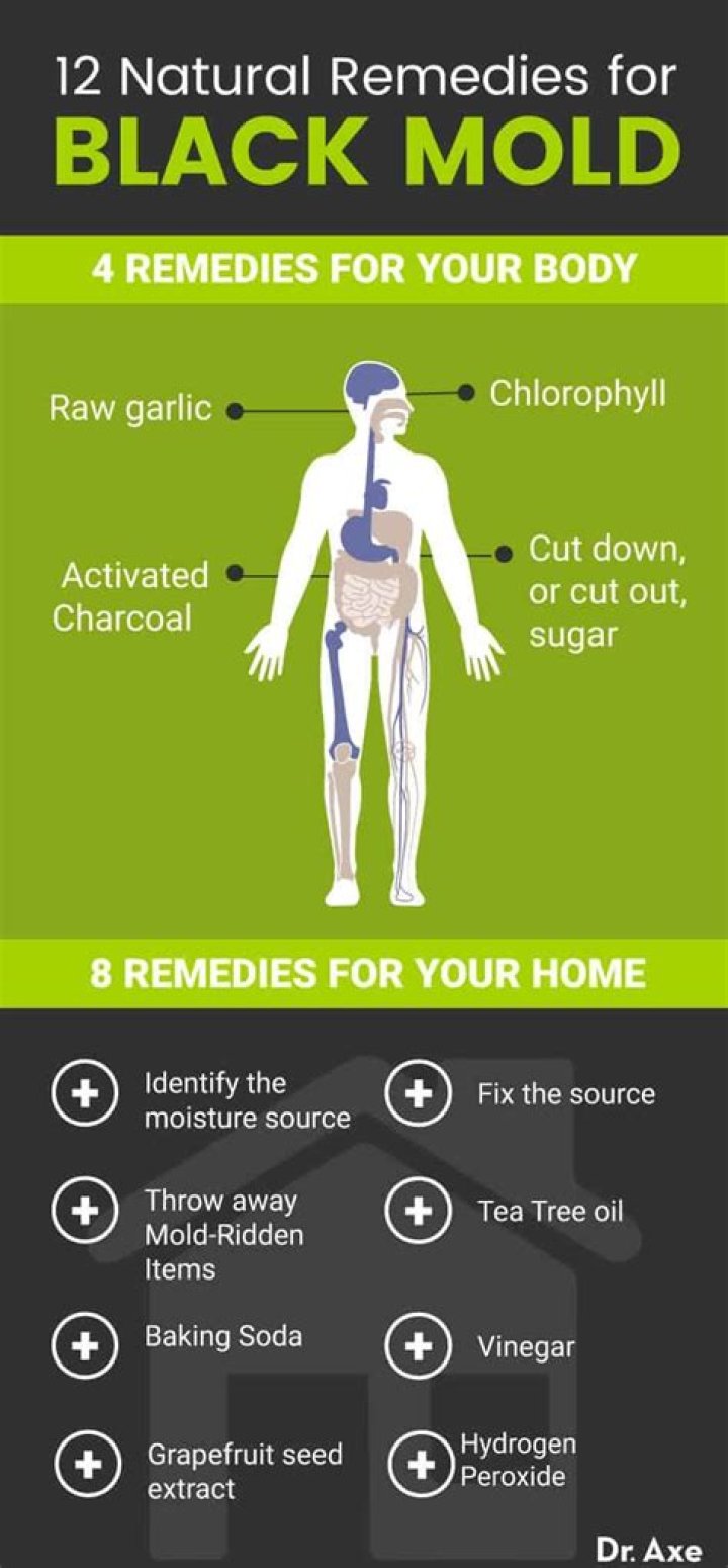 How does white vinegar get rid of black mold?