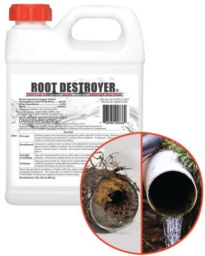 How fast does Zep root killer?