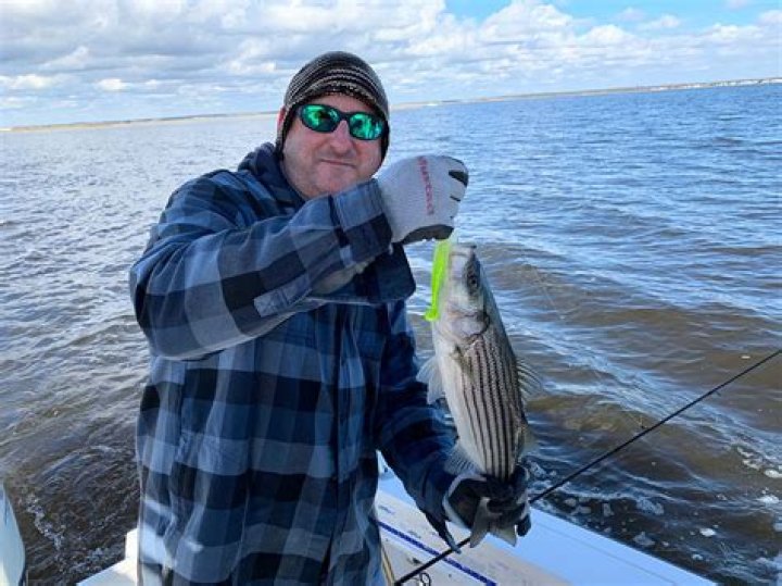 How fast should you troll for catfish?