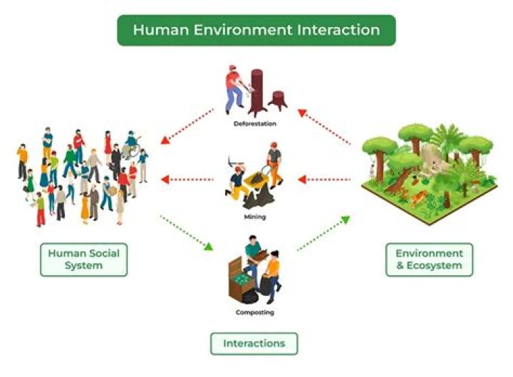 How is the environment of Coorgi?