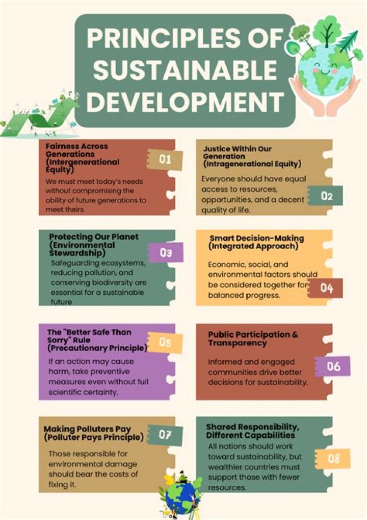 How is the issue of sustainability important for development explain with examples Class 10?