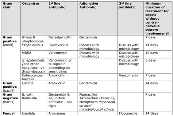 How long can a person stay on IV antibiotics?
