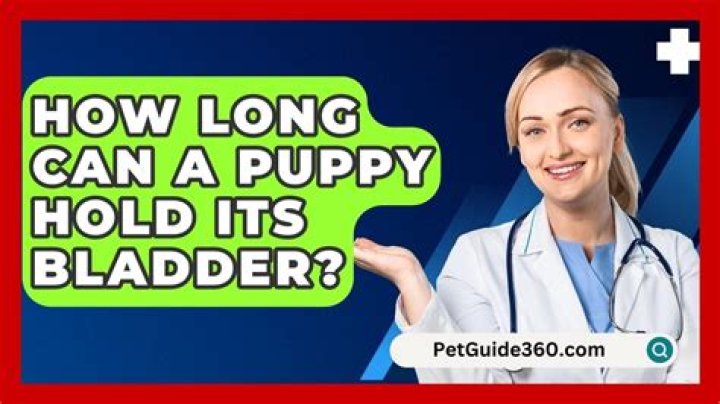 How long can a puppy hold its bladder?