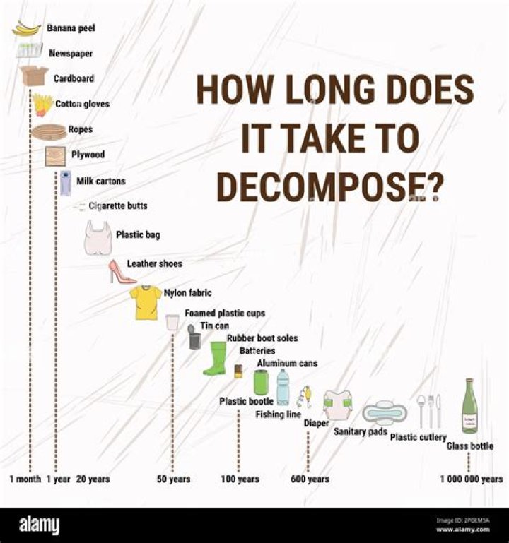 How long does a body in a grave take to decompose?