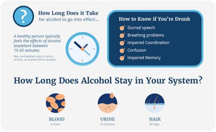 How long does alcohol stay in your brain?