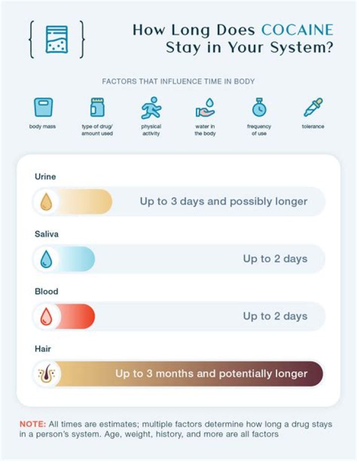 How long does E. coli stay in your system?