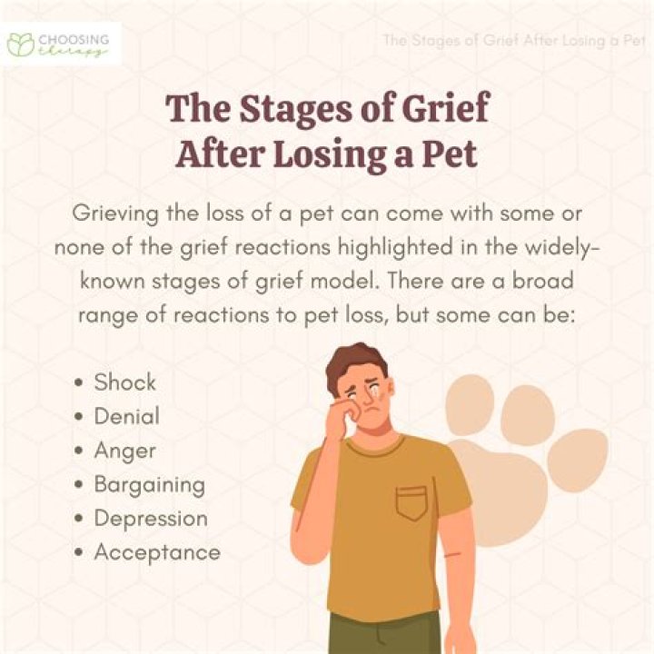 How long does grief last after death of pet?