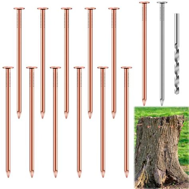 How long does it take a copper nail to kill a tree?