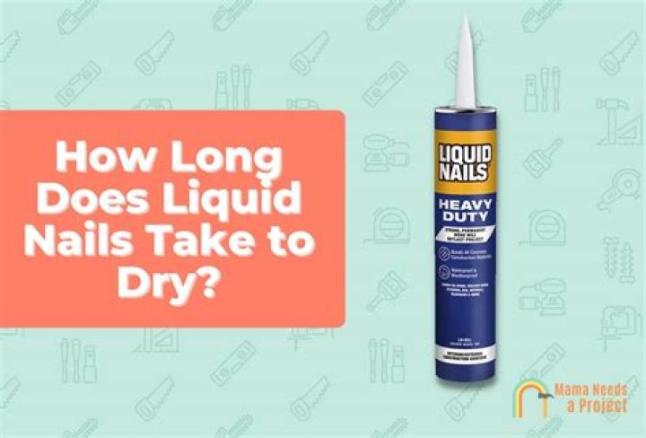 How long does it take for a dog to react to xylitol?