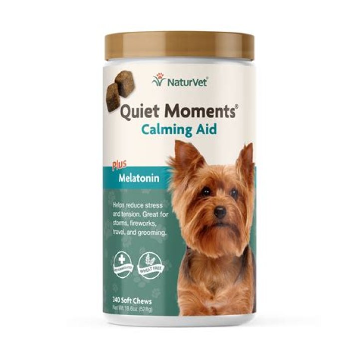 How long does it take for melatonin to work on a dog?