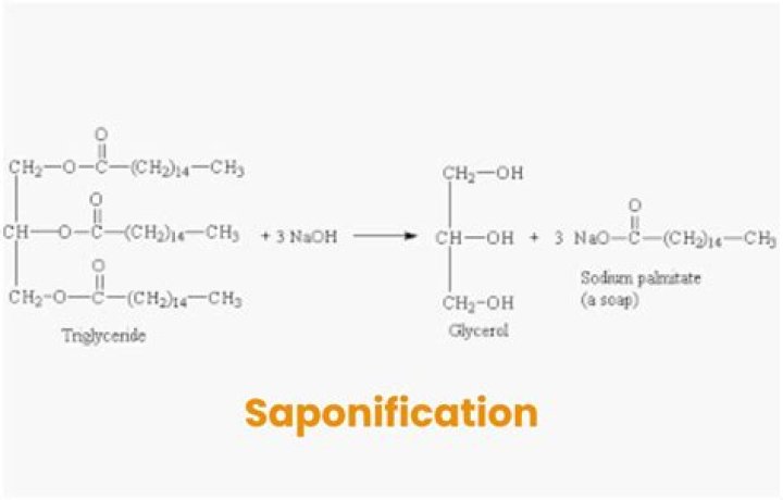 How long does it take for soap to Saponify?